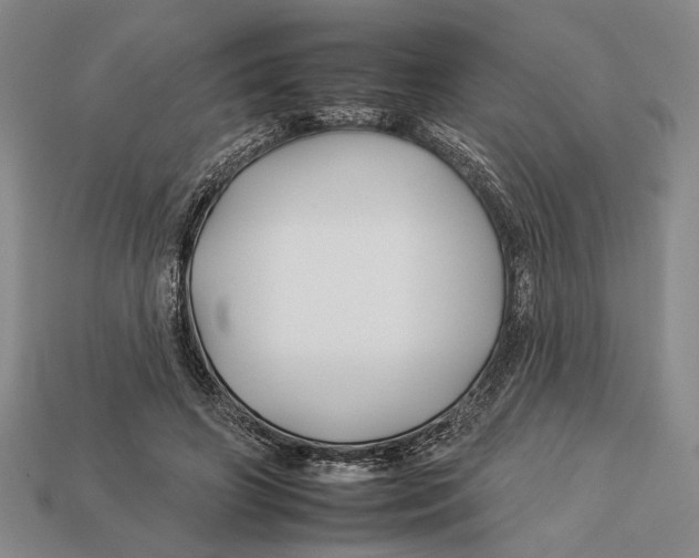 X0000112930498200909211116