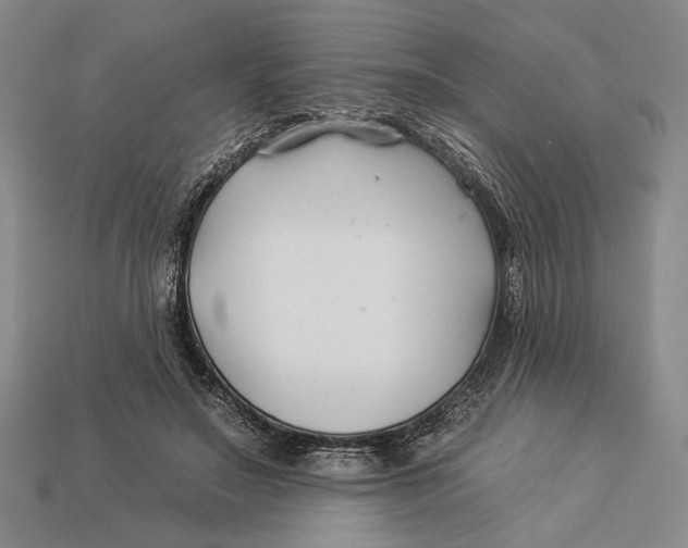 X0000112930499200909211116