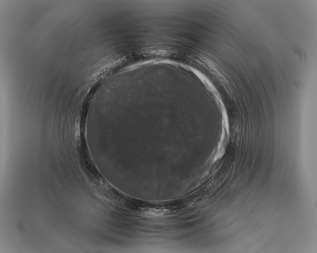 X0000112930500200909211116