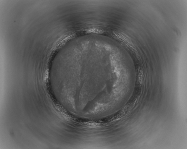 X0000112930502200909211116