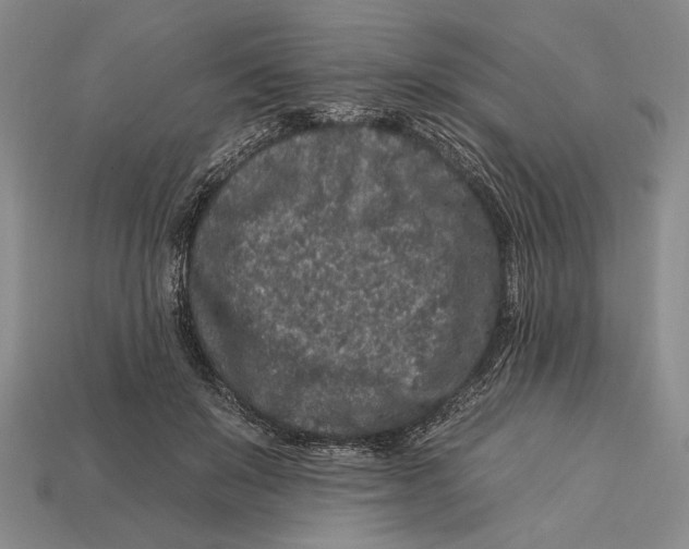 X0000112930503200909211116
