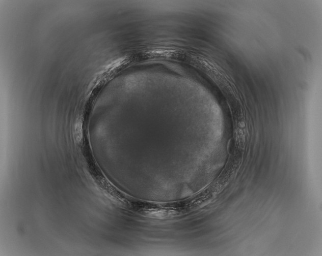 X0000112930504200909211116
