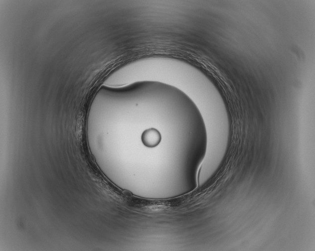X0000112930505200909211116