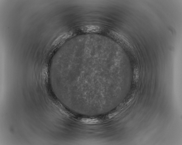 X0000112930506200909211116