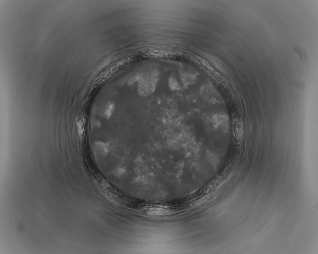 X0000112930507200909211116