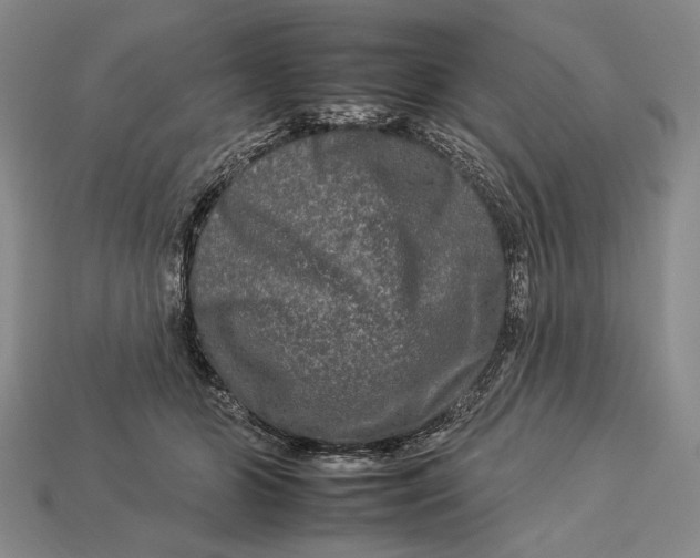 X0000112930510200909211116