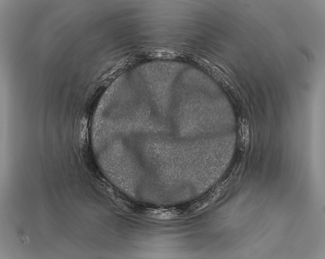 X0000112930511200909211116