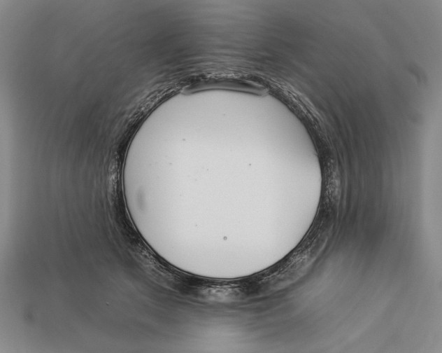 X0000112930513200909211116