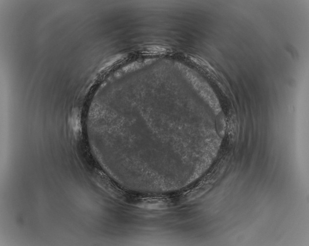 X0000112930516200909211116