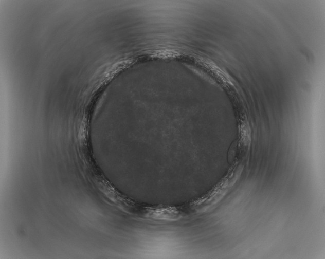 X0000112930517200909211116