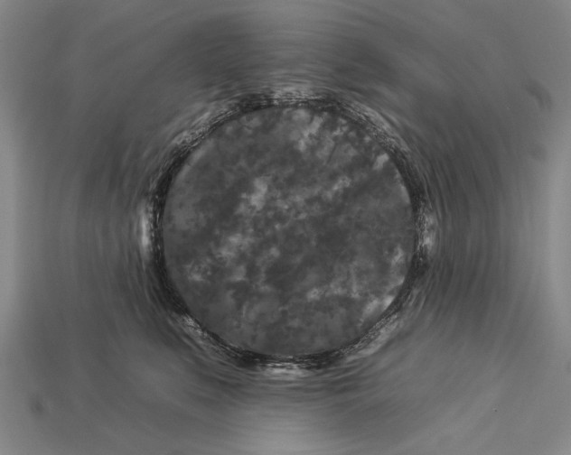 X0000112930519200909211116