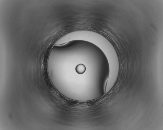X0000112930520200909211116