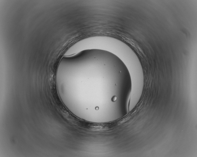 X0000112930521200909211116