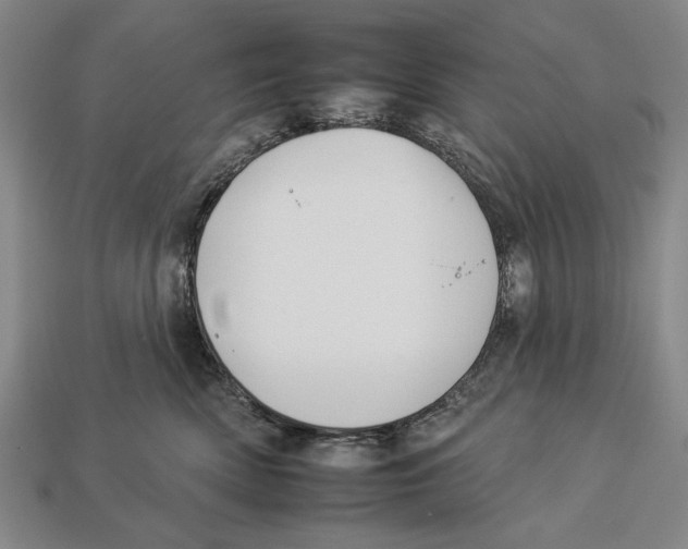 X0000112930522200909211116