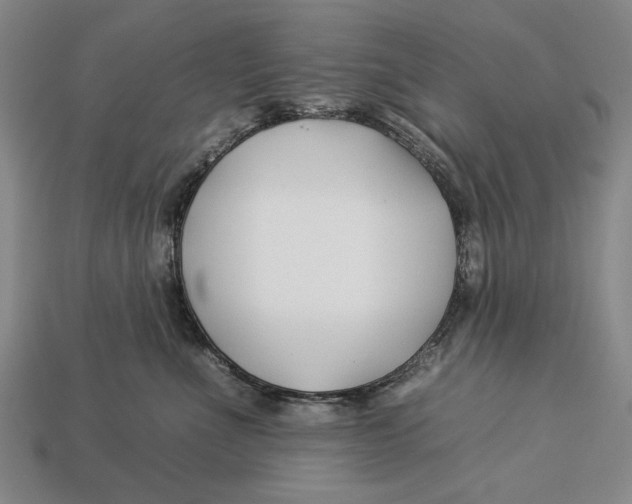 X0000112930523200909211116