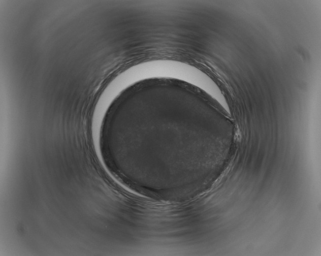 X0000112930524200909211116