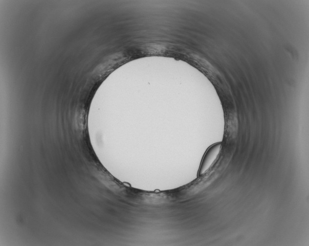 X0000112930525200909211116