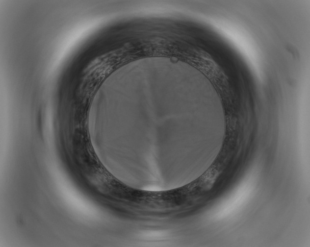 X0000112930526200909211116
