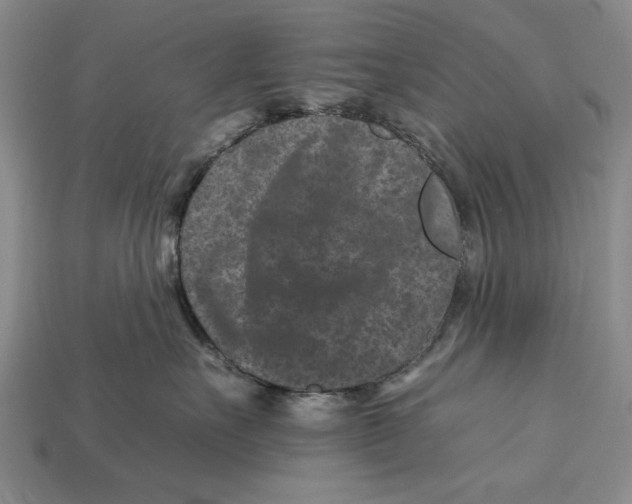 X0000112930527200909211116