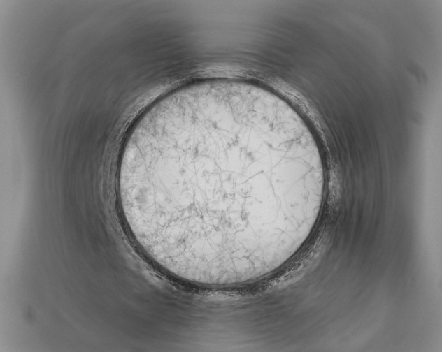 X0000112930529200909211115