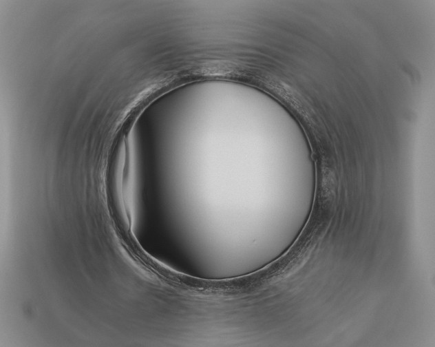 X0000112930530200909211115