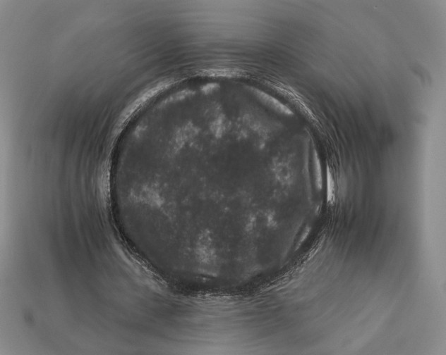 X0000112930531200909211115