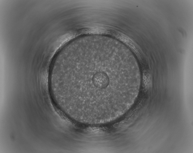 X0000112930534200909211115