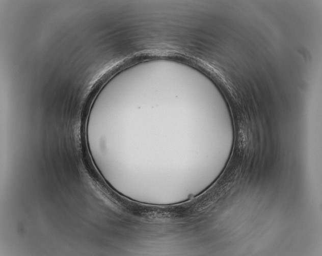X0000112930535200909211115