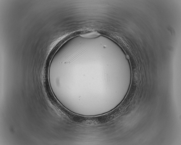X0000112930536200909211115