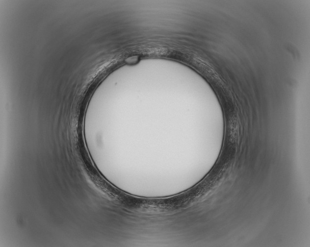 X0000112930538200909211115