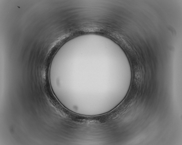 X0000112930539200909211115