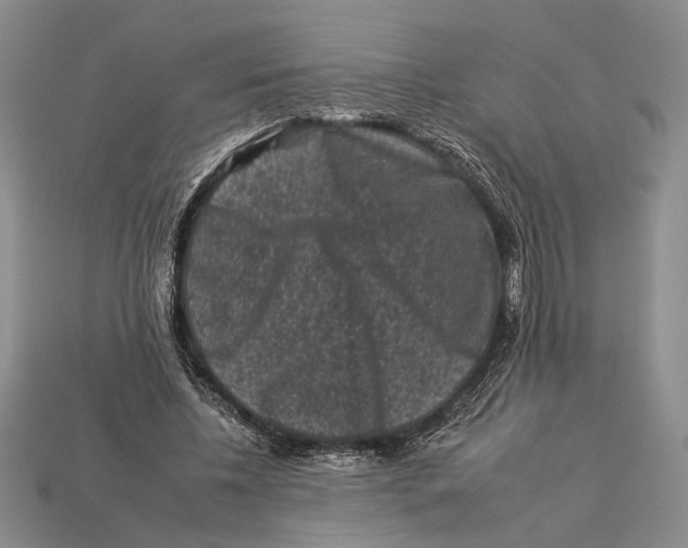 X0000112930540200909211115