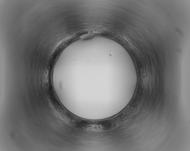X0000112930543200909211115