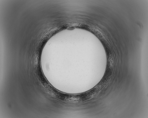 X0000112930546200909211115