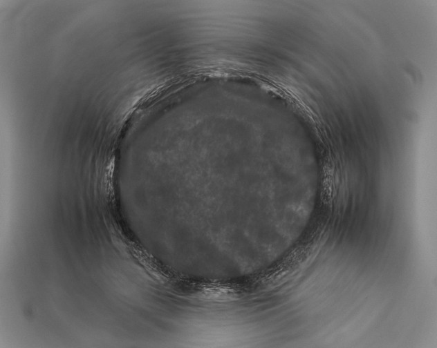 X0000112930547200909211115