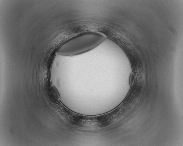 X0000112930548200909211116