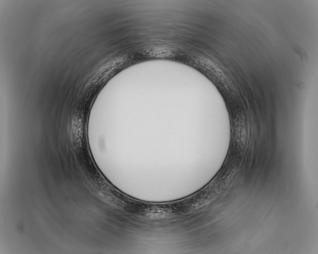 X0000112930549200909211116
