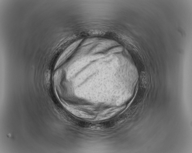 X0000112930550200909211116