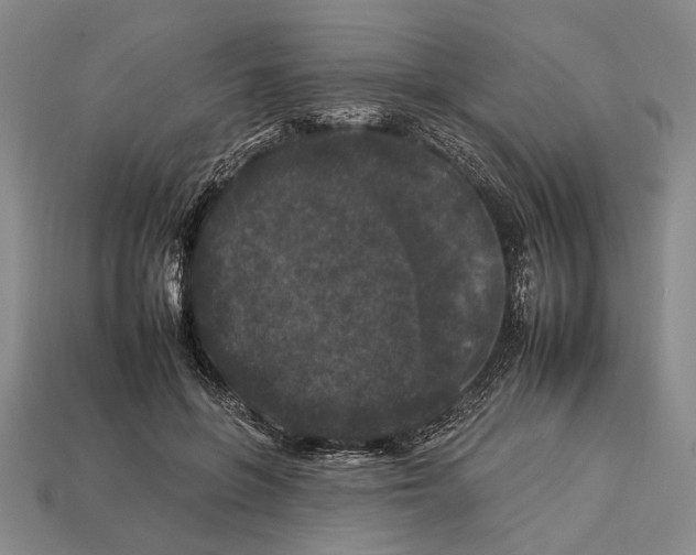 X0000112930551200909211116