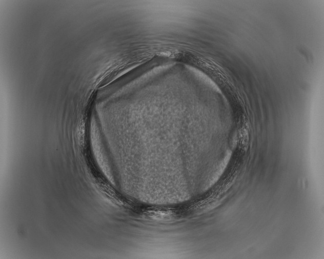 X0000112930552200909211116
