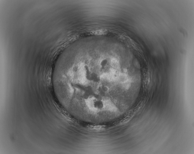 X0000112930553200909211116
