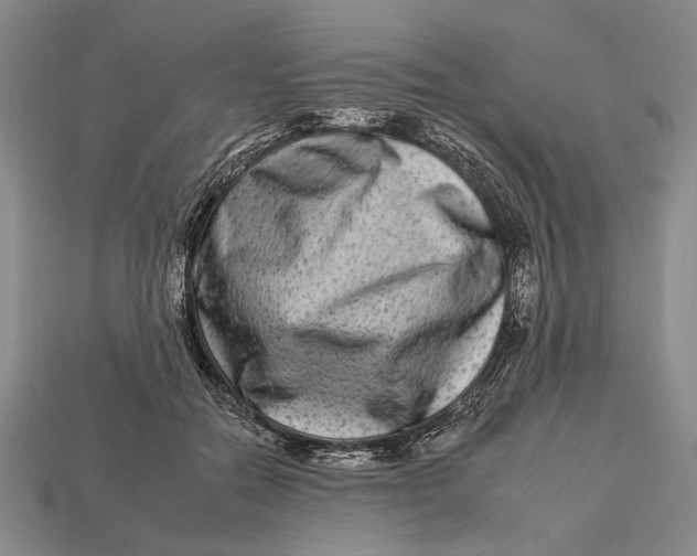 X0000112930554200909211116