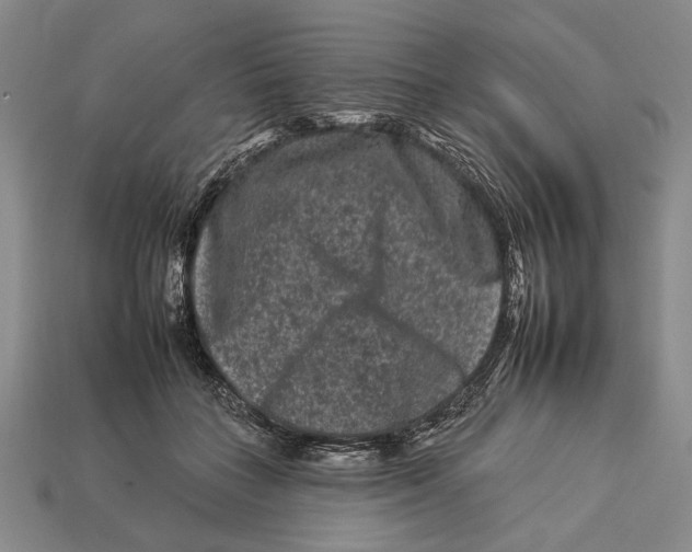 X0000112930555200909211116