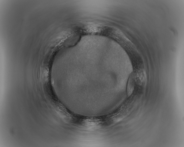 X0000112930556200909211116