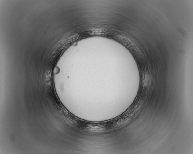 X0000112930557200909211116