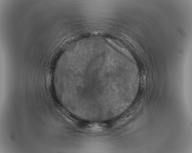 X0000112930558200909211116