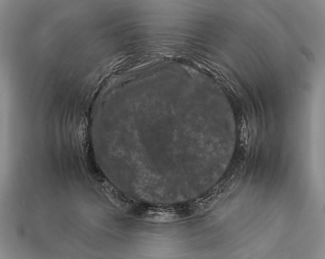X0000112930559200909211116