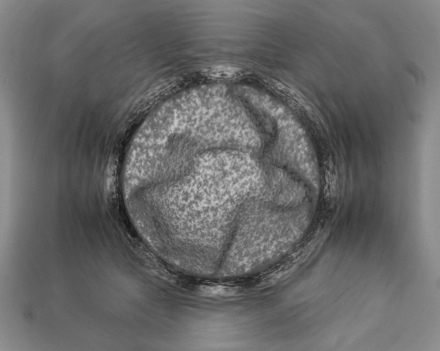 X0000112930561200909211116