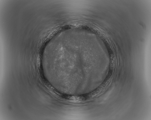 X0000112930562200909211116