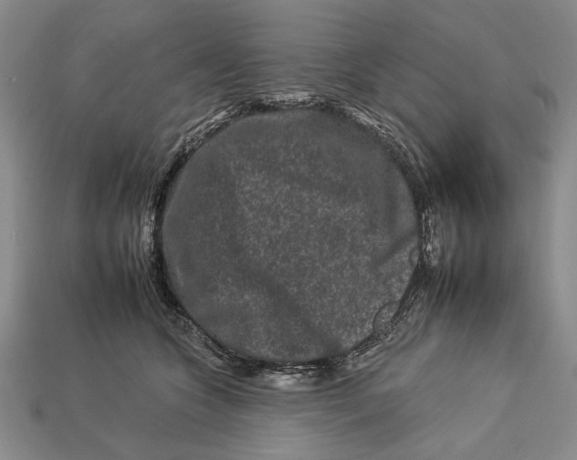 X0000112930563200909211116
